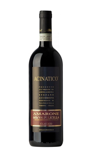 фото вино Stefano Accordini Amarone della Valpolicella Classico Acinatico 2017 0,75 л