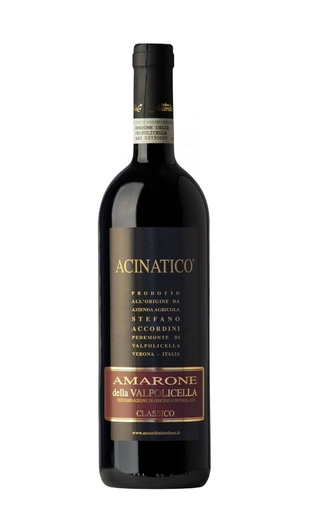 фото вино Stefano Accordini Amarone della Valpolicella Classico Acinatico 2016 0,75 л