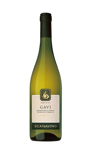 фото вино Scanavino Gavi 2019 0,75 л