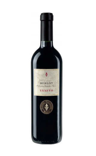 фото вино Cantina Viticoltori Meolo Merlot Veneto 2018 0,75 л