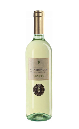 фото вино Cantina Viticoltori Meolo Chardonnay Veneto 2019 0,75 л