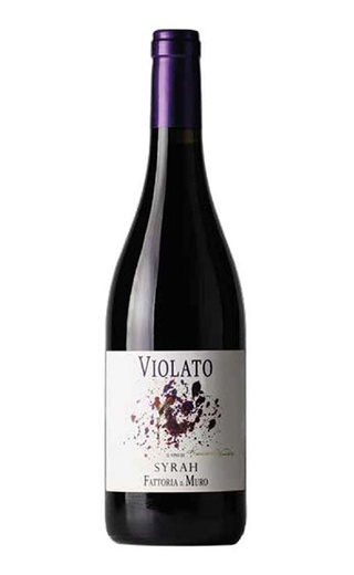 фото вино Fattoria il Muro Violato Syrah Toscana 2018 0,75 л