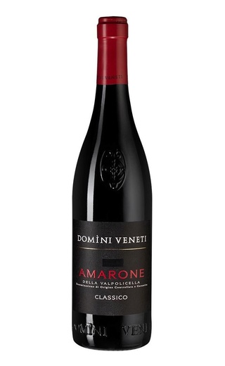 фото вино Domini Veneti Amarone della Valpolicella Classico 2017 0,75 л