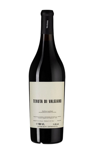 фото вино Tenuta di Valgiano Colline Lucchesi 2016 0,75 л