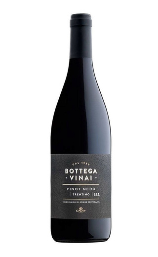 фото вино Cavit Bottega Vinai Pinot Nero 2018 0,75 л