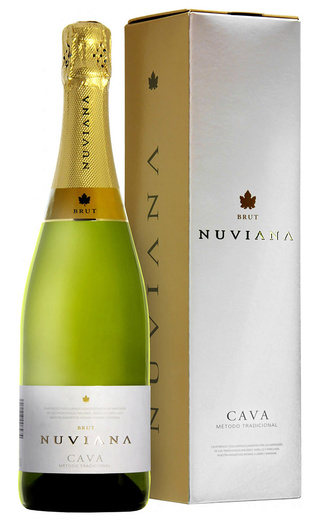 фото кава Codorniu Nuviana Brut Cava 0,75 л