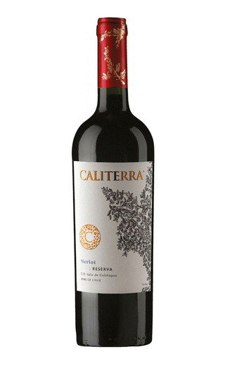 фото вино Vina Caliterra Merlot Reserva 2020 0,75 л