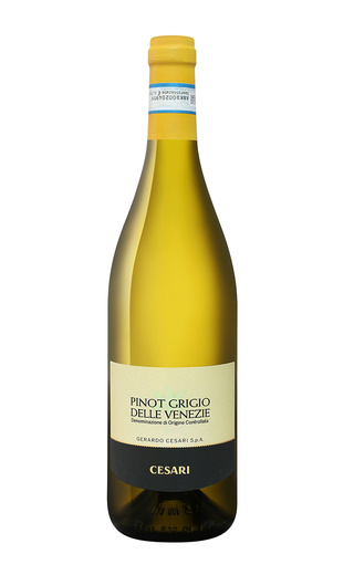 фото вино Gerardo Cesari Pinot Grigio delle Venezie 2020 0,75 л