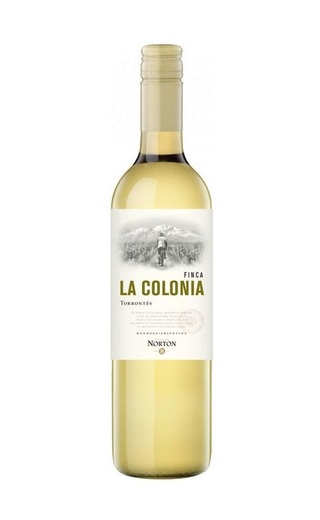 фото вино Finca La Colonia Torrontes 2021 0,75 л