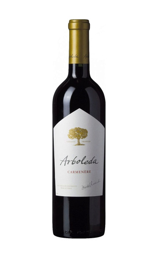 фото вино Vina Arboleda Carmenere 2019 0,75 л