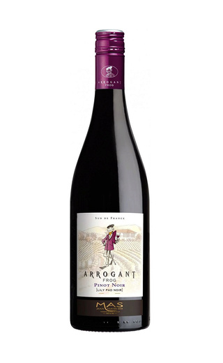 фото вино Arrogant Frog Pinot Noir Pays d'Oc 2020 0,75 л