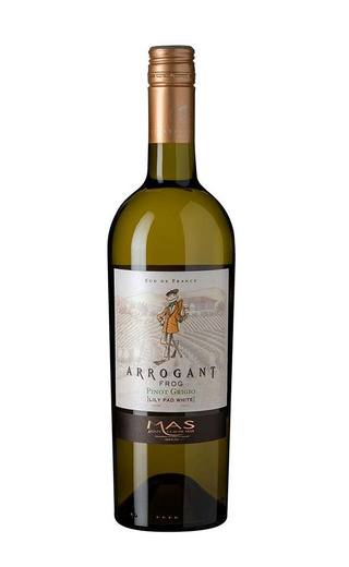 фото вино Arrogant Frog Pinot Grigio Pays d'Oc 2020 0,75 л