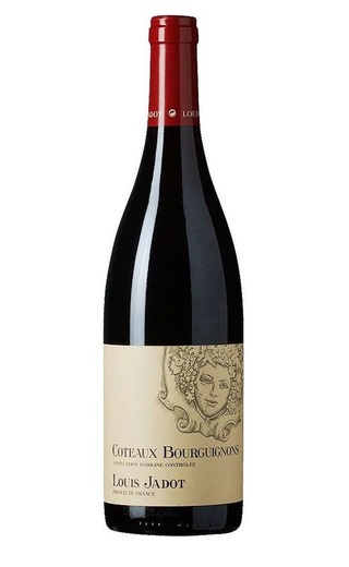 фото вино Louis Jadot Bourgogne Cote d'Or 2019 0,75 л