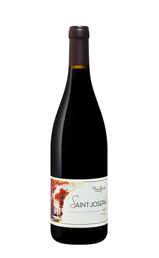 фото вино Pierre Gaillard Saint-Joseph Rouge 2020 0,75 л