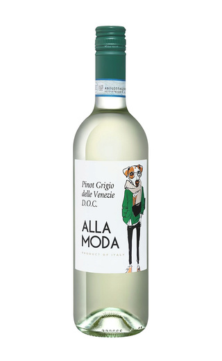 фото вино San Matteo Alla Moda Pinot Grigio 2021 0,75 л