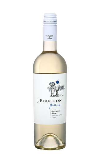 фото вино J.Bouchon Sauvignon Blanc Maule Valley 2021 0,75 л