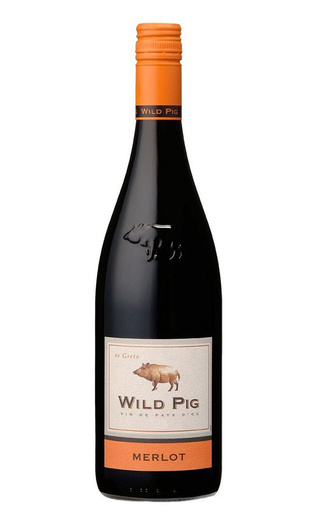 фото вино Wild Pig Merlot 2020 0,75 л