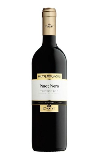 фото вино Cavit Mastri Vernacoli Pinot Nero 2020 0,75 л