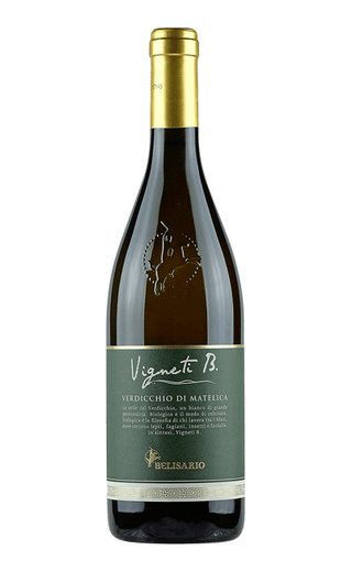 фото вино Belisario Vigneti B Verdicchio di Matelica Bianco 2019 0,75 л