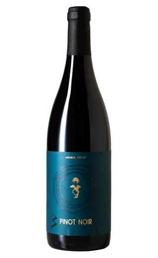 фото вино Virtus Pinot Noir 2019 0,75 л