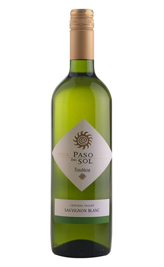 фото вино Terramater Paso Del Sol Sauvignon Blanc 2021 0,75 л