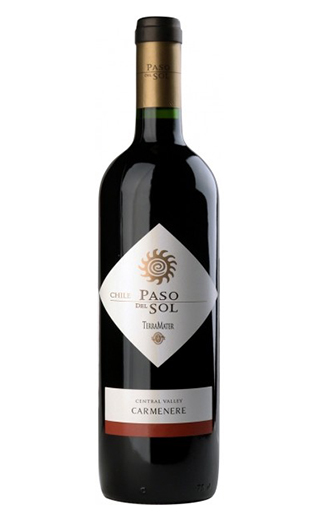 фото вино Terramater Paso Del Sol Carmenere 2021 0,75 л