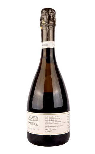 фото просекко Marchiori Rocciamadre Valdobbiadene Prosecco Superiore 2020 0,75 л