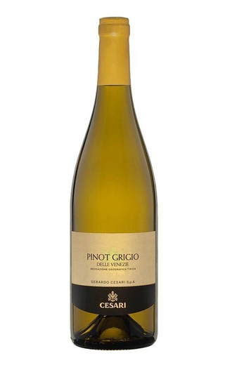 фото вино Gerardo Cesari Salvalai Pinot Grigio 2021 12% 0,75 л