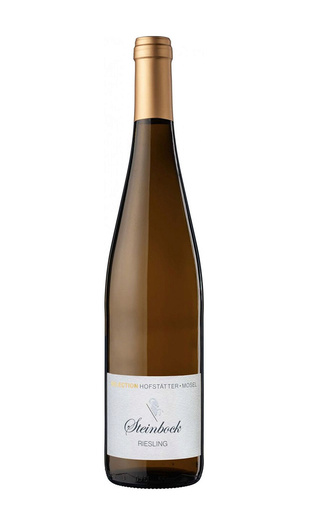 фото вино Weingut Dr. Fischer Steinbock Riesling 2021 0,75 л