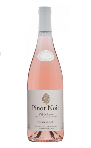 фото вино Florian Mollet Pinot Noir Val de Loire 2022 0,75 л