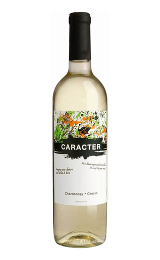 фото вино Bodegas Santa Ana Caracter Chardonnay Chenin 2023 0,75 л