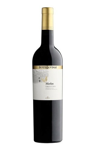 фото вино Cavit Bottega Vinai Merlot 2019 0,75 л