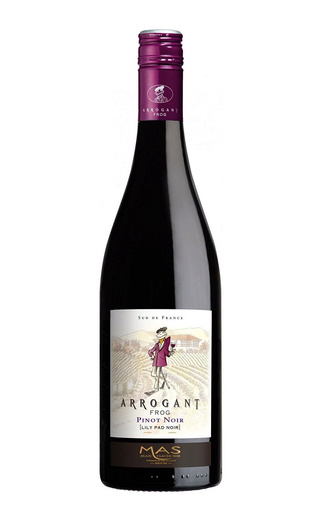 фото вино Arrogant Frog Pinot Noir Pays d'Oc 2022 0,75 л