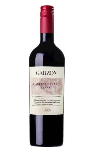 фото вино Bodega Garzon Estate Cabernet Franc Tannat 2021 0,75 л