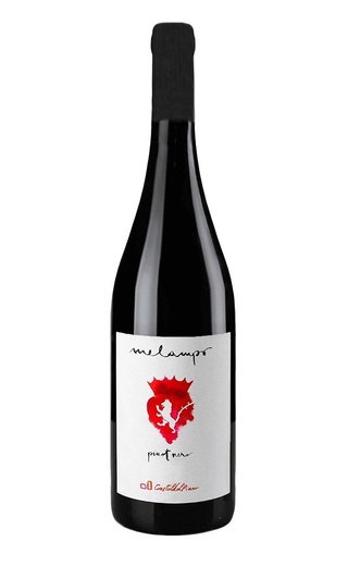 фото вино Castel del Piano Melampo Pinot Nero 2018 0,75 л