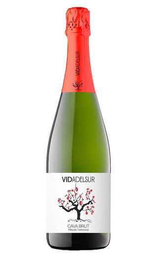 фото игристое вино Vidadelsur Brut 0,75 л