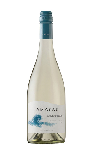 фото вино Montgras Amaral Sauvignon Blanc 2022 0,75 л