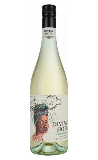 фото вино Paul Sapin Divine Hope Chenin Blanc 2022 0,75 л