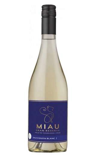 фото вино Miau Sauvignon Blanc Gran Reserva 0,75 л