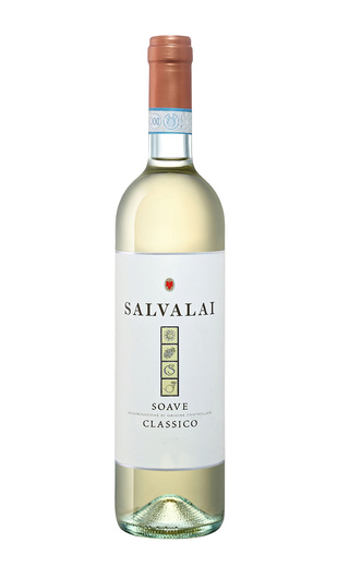 фото вино Gerardo Cesari Salvalai Soave Classico 2023 0,75 л