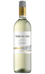 Вино Mezzacorona Terre del Noce Dolomiti Pinot Grigio 2023 0,75 л