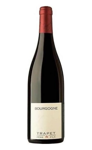 фото вино Domaine Trapet Pere et Fils Bourgogne Pinot Noir 2018 0,75 л