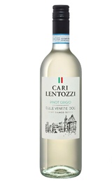 Вино Villa degli Olmi Cari Lentozzi Pinot Grigio 2023 0,75 л