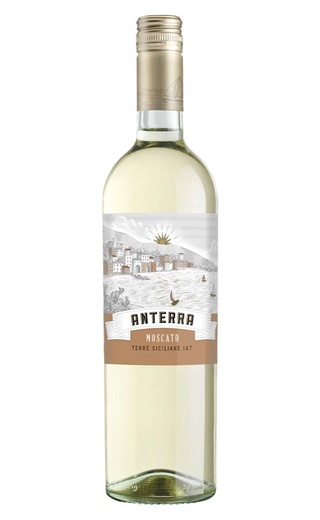 фото вино Anterra Moscato 2024 0,75 л