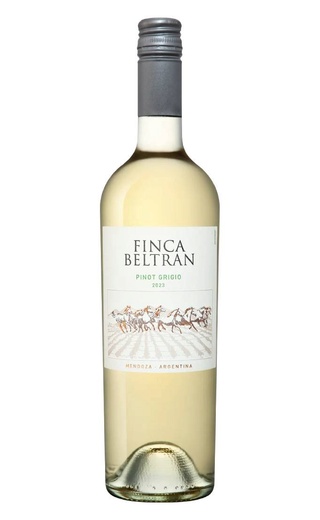 фото вино Finca Beltran Pinot Grigio 2023 0,75 л