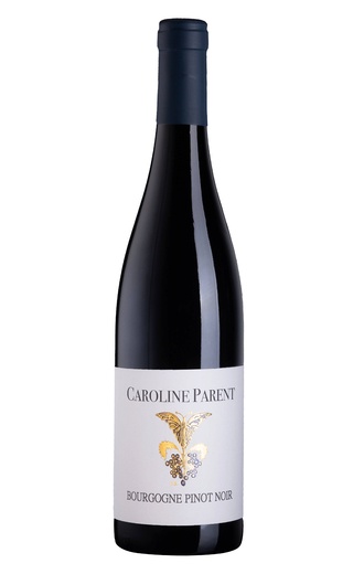 фото вино Caroline Parent Bourgogne Pinot Noir 2019 0,75 л