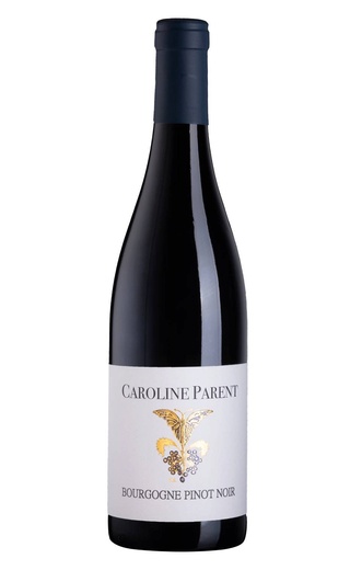 фото вино Caroline Parent Bourgogne Pinot Noir 2020 0,75 л