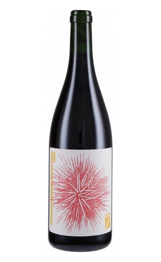 Сетте Гриньолино 2023 0.75 л фото вино Sette Grignolino 2023 0,75 л