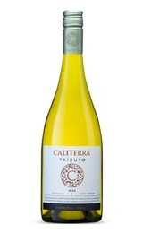Вино Vina Caliterra Chardonnay Reserva Casablanca Valley 2015 0,75 л