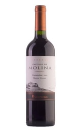 Вино San Pedro Castillo de Molina Reserva Carmenere 2012 0,75 л
